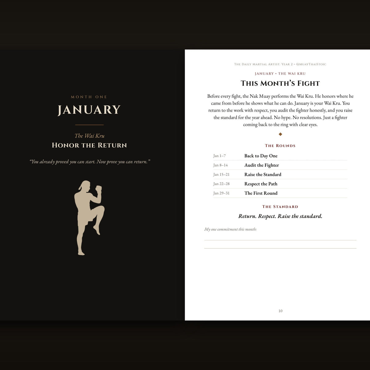 Inside The Daily Martial Artist Year 2: January month opener and monthly fight brief