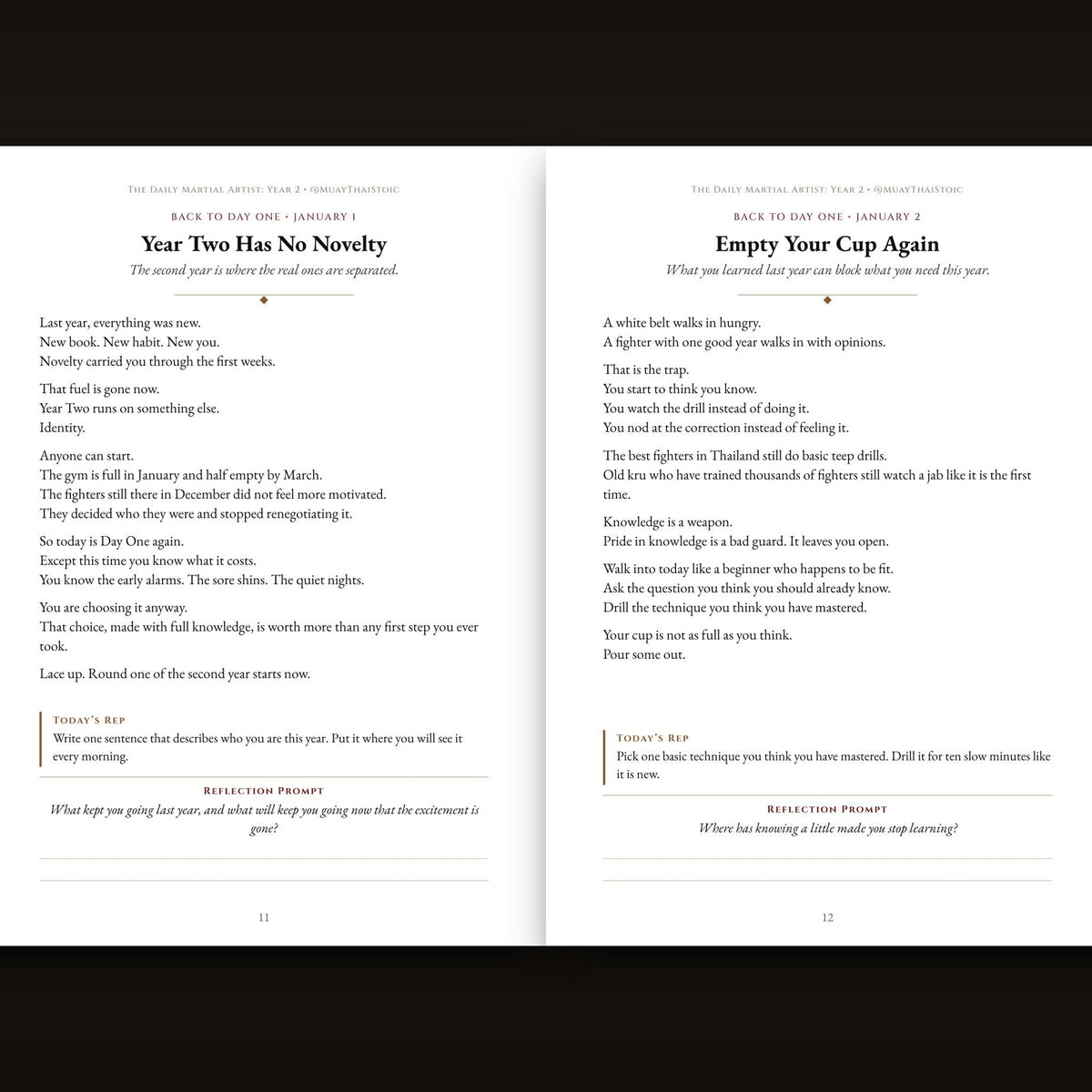 Inside The Daily Martial Artist Year 2: daily lessons with Today's Rep and Reflection Prompt