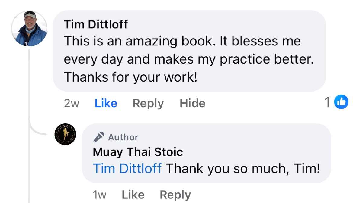 The Daily Martial Artist - 366 Meditations on Discipline, Combat, and Inner Power